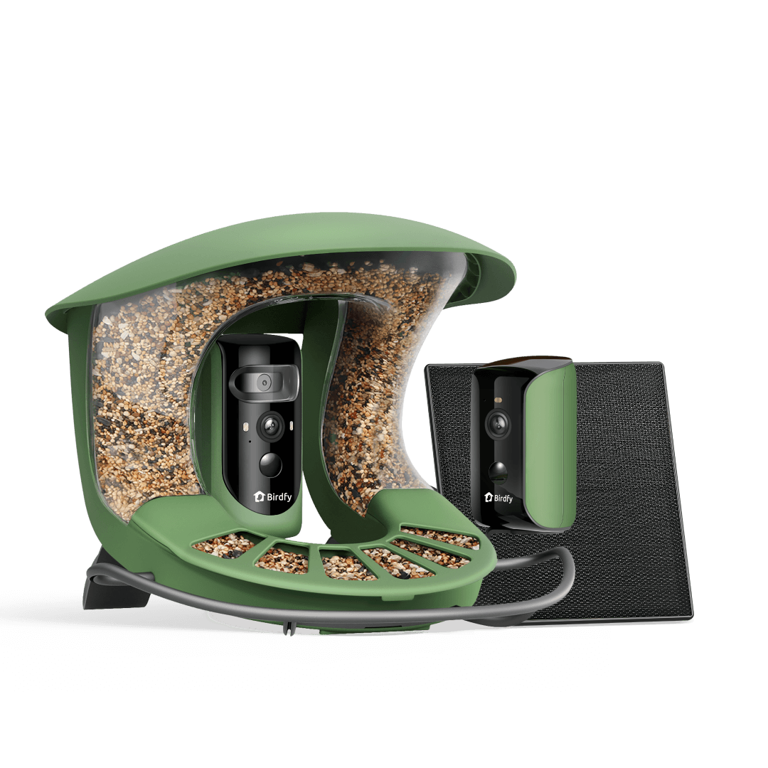 Birdfy Feeder 2 Duo — NETVUE